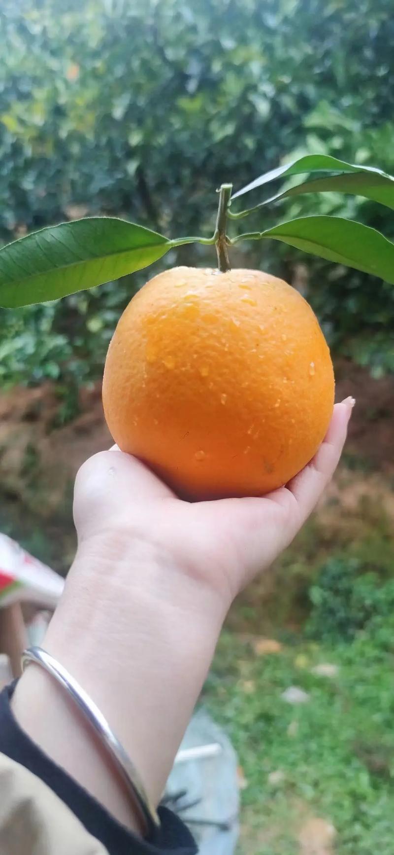 探寻三明地区零食界的供货新风向